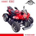Кроссовер ATV 250cc Road Legal